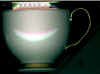 unioncup.jpg (46916 bytes)